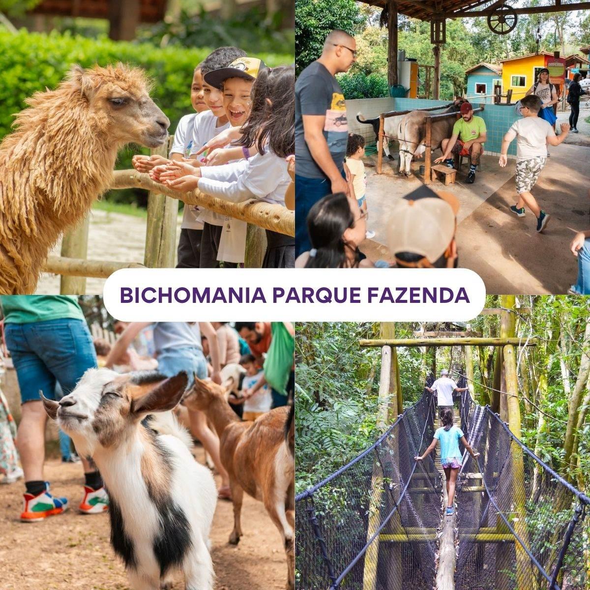 Bichomania Parque Fazenda