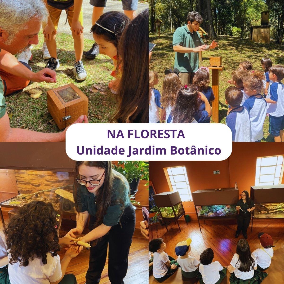 Na Floresta - Unidada Jardim Botânico